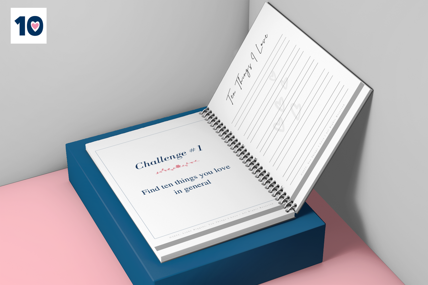 Appreciation Practice Journal